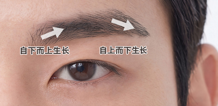 顺着眉毛毛流方向的设计